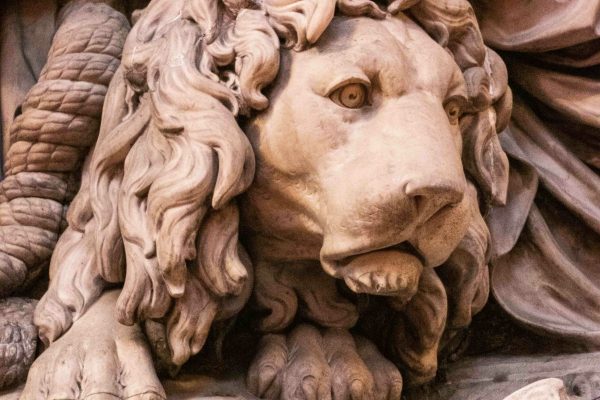 Lion Detail on Nelson Monument